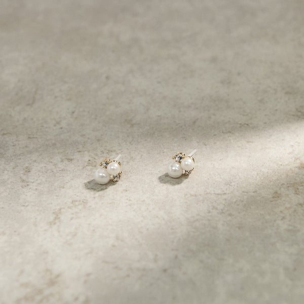 西園寺　　ピアス Fashion Express on X